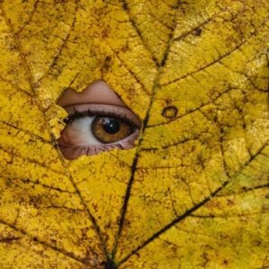 تحقیق درباره عکاسی و سبک های آن